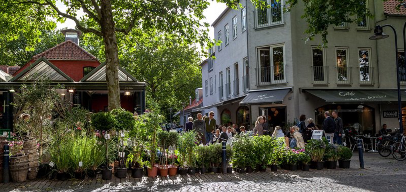 Cafeliv og grøntpå en solskinsdag i Lyngby