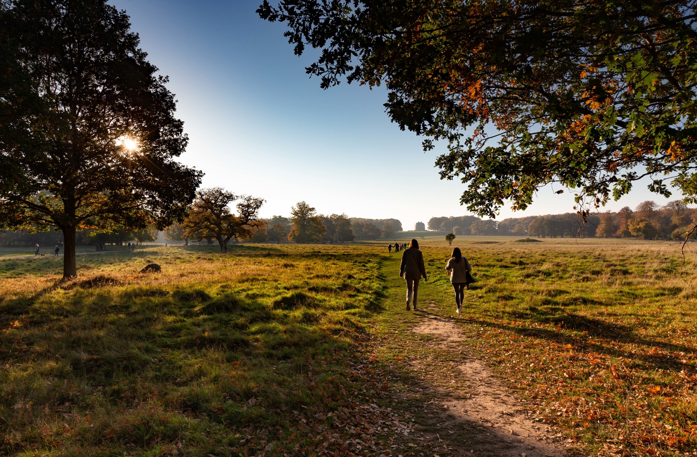 Dyrehaven fra Trepilelågen