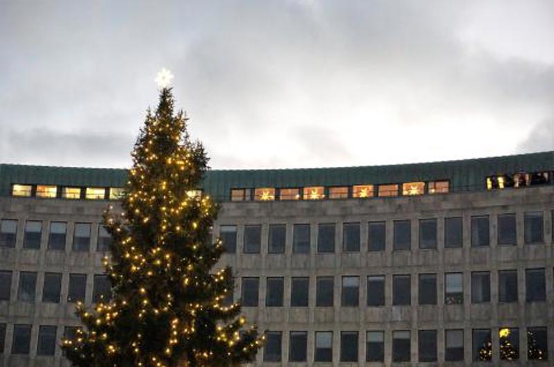 Juletræ foran rådhuset