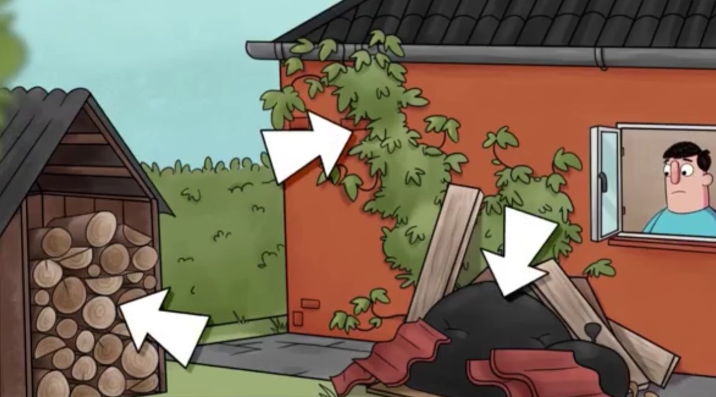 Sikring af bygning mod rotter