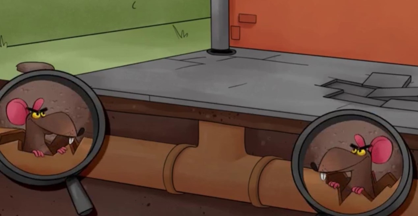 Undgå rotter fra kloakken