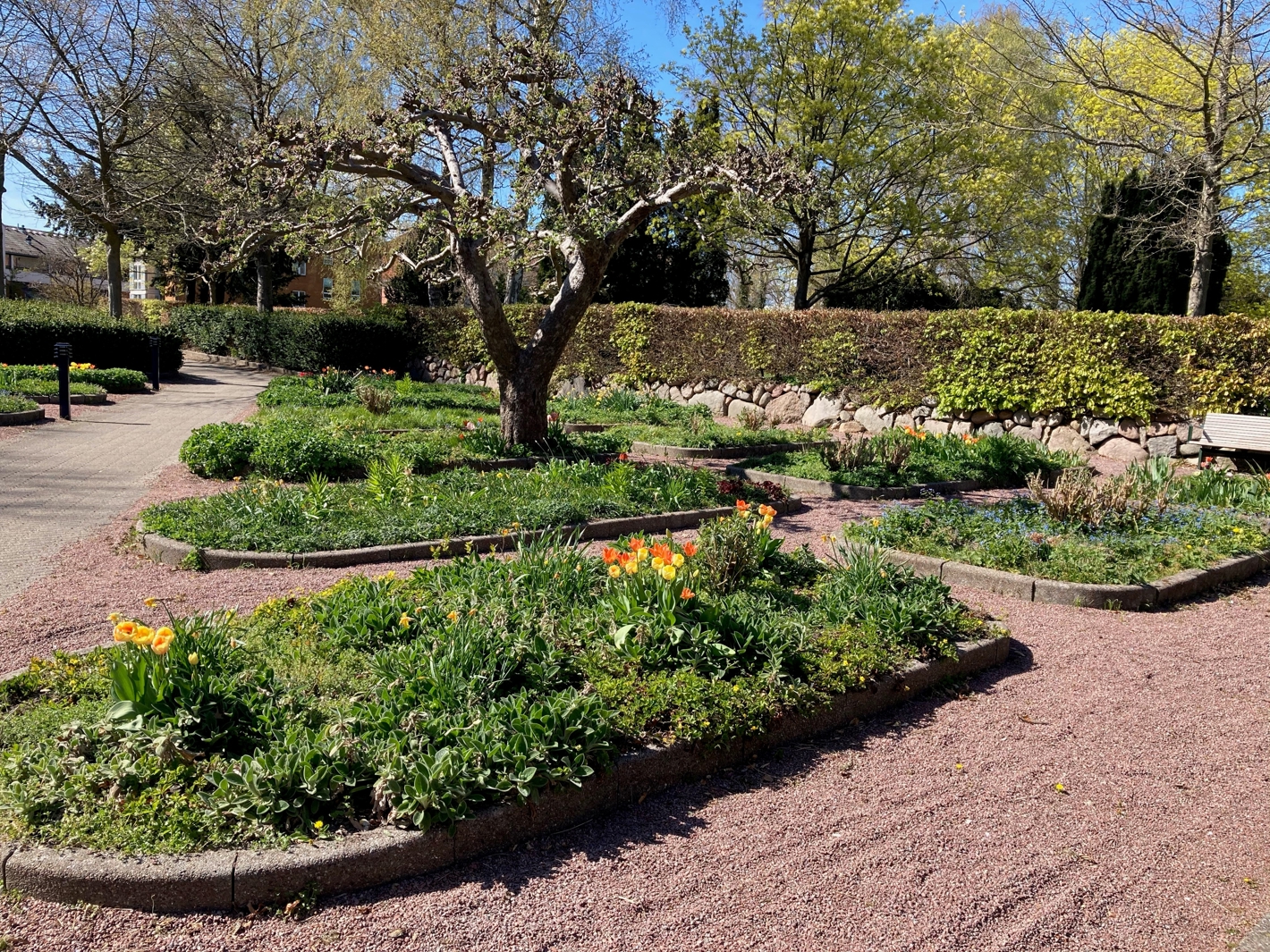 Blomsterhaven