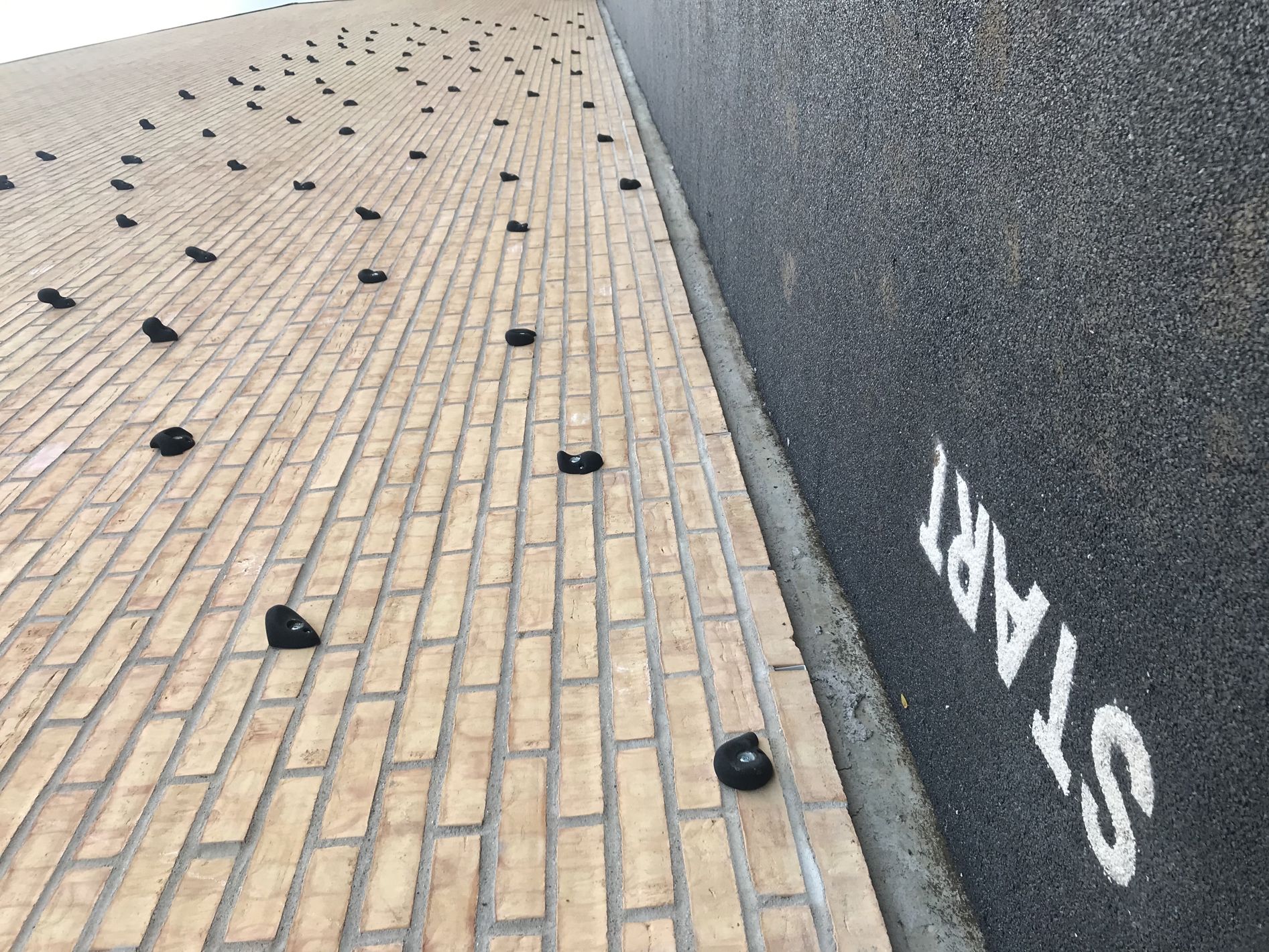 Her ses klatrevæg ved Lundtoftehallen