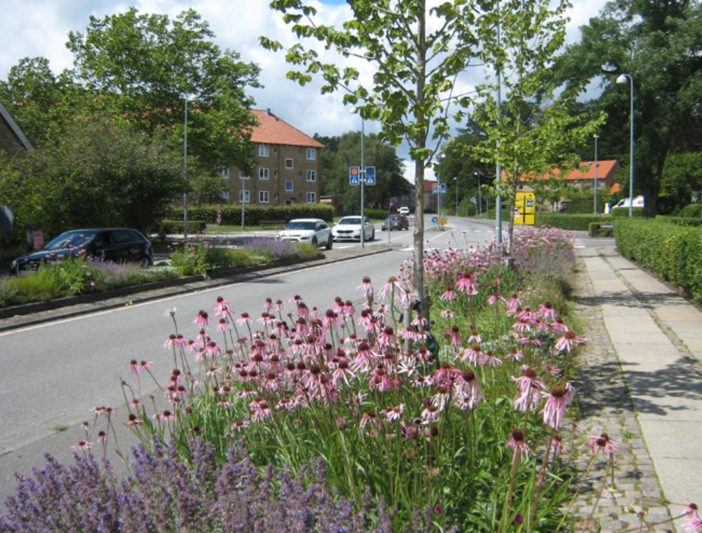 Vejbed Sorgenfrigårdsvej
