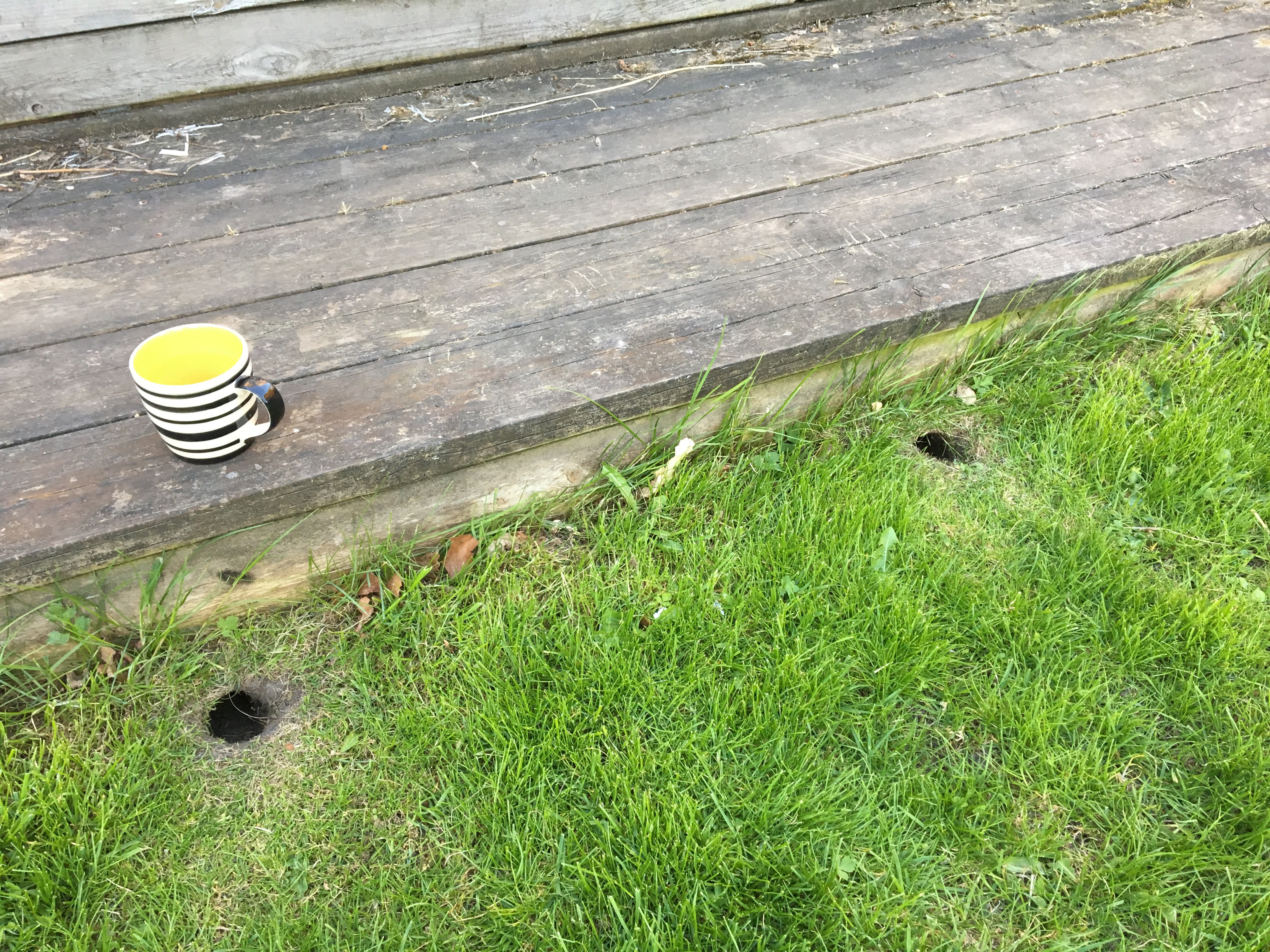 Rotter Under Terrasse