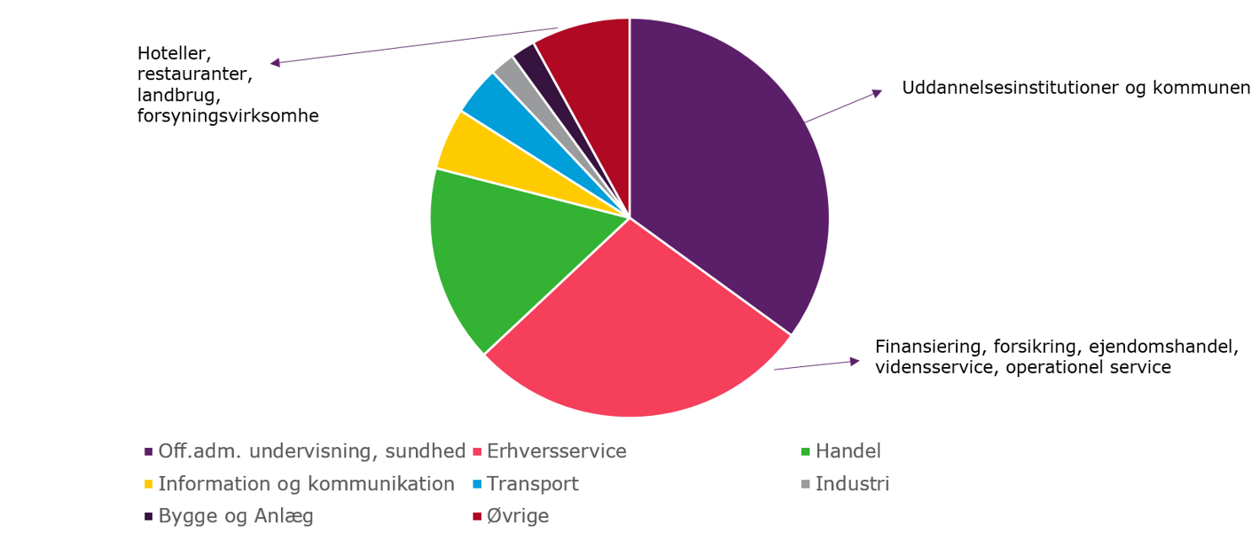 Branchefordeling erhverv