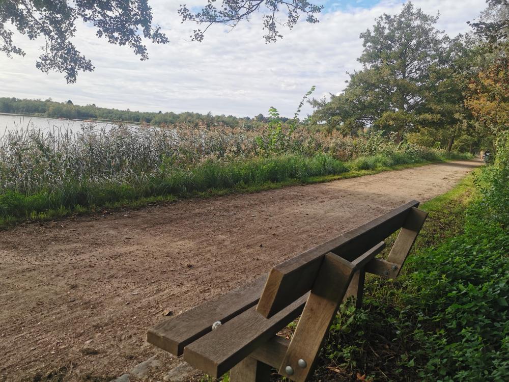 Bænk langs promenaden til Lyngby sø giver mulighed for at hvile sig og nyde den gode udsigt