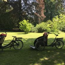 Ældreugen 30-05-2018 - Cykeltur i naturen