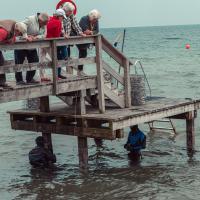 Opsætning og indvielse af fiskebørnehaver i Taarbæk